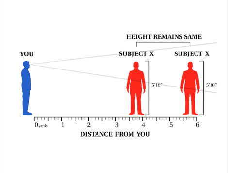 This graphical representation explains the research team’s central hypothesis.